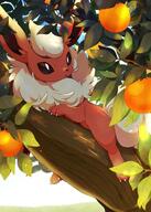 amount:solo atmosphere:sunlight body-type:feral series:eeveelutions series:pokemon species:flareon // 856x1200 // 180KB