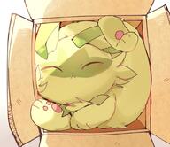 amount:solo atmosphere:sunlight body-type:feral cardboard-box cramped species:sprigatito // 911x790 // 95KB