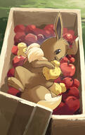 amount:solo apple atmosphere:farm atmosphere:field atmosphere:sunlight body-type:feral food fruit hall-of-fame:bronze pokemon-berries series:pokemon sitrus-berry species:eevee // 1490x2355 // 1.5MB