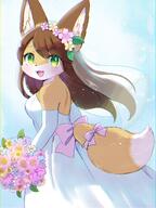 amount:solo body-type:anthro boquet feminine flower flower-crown outfit species:fox style:chromatic-aberration style:girly style:kemono wearing-bow wearing-flower wedding-dress // 1200x1600 // 1.8MB
