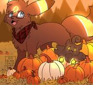 amount:pair atmosphere:autumn atmosphere:field atmosphere:halloween atmosphere:sunset body-type:feral freckles glasses nerdy pumpkin scarf series:eeveelutions series:pokemon species:pumpkaboo species:umbreon style:glow style:noisy // 1000x915 // 183KB