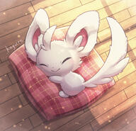 amount:solo atmosphere:home atmosphere:sunlight body-type:semi-anthro series:pokemon sleeping species:minccino // 1919x1854 // 1.1MB