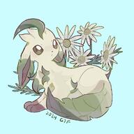 amount:solo body-type:feral flower series:eeveelutions series:pokemon species:leafeon style:no-anti-aliasing // 1000x1000 // 207KB