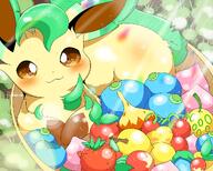 amount:solo aspear-berry body-type:feral cheri-berry figy-berry oran-berry pecha-berry pokemon-berries series:eeveelutions series:pokemon sitrus-berry species:leafeon tamato-berry // 1200x960 // 200KB