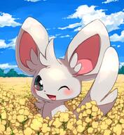 amount:solo atmosphere:field body-type:semi-anthro flower species:minccino // 736x800 // 128KB