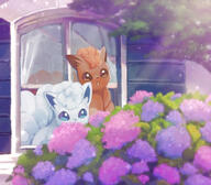 amount:pair amount:solo atmosphere:flowers atmosphere:sunlight atmosphere:town body-type:feral flower species:alolan-vulpix species:vulpix style:girly style:painted style:sparkly // 800x700 // 737KB