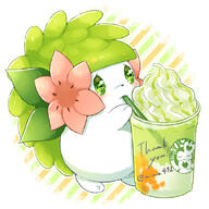 amount:solo body-type:feral drink feminine flower latte species:shaymin style:girly style:kawaii style:striped-background wearing-flower // 600x600 // 328KB
