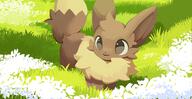 amount:solo atmosphere:field atmosphere:sunlight body-type:feral series:pokemon species:eevee style:lineless // 2000x1035 // 2.5MB