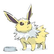 amount:solo body-type:feral body-type:overweight food-bowl series:eeveelutions series:pokemon species:jolteon // 2048x2048 // 220KB