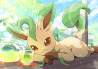 amount:solo atmosphere:hills atmosphere:picnic atmosphere:sunlight body-type:feral drink series:eeveelutions series:pokemon species:leafeon style:girly style:sparkly tea // 802x567 // 545KB