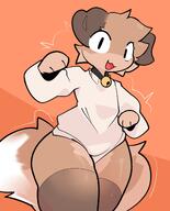 amount:solo bell bell-collar body-type:anthro body-type:semi-anthro collar shirt species:dog // 1536x1899 // 197KB