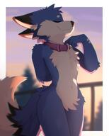 amount:solo atmosphere:sunset body-type:anthro body-type:semi-anthro body-type:slim collar smug species:fox style:chromatic-aberration style:intentional-blur style:kemono visual-teasing // 2764x3456 // 452KB