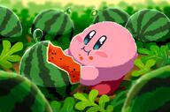 amount:solo atmosphere:farm atmosphere:field body-type:blob character:kirby eating food fruit series:kirby species:unknown style:intentional-blur style:painted watermelon // 2048x1357 // 439KB