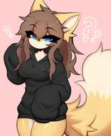 amount:solo body-type:anthro hair hoodie species:fox style:kemono sweater // 1842x2272 // 238KB