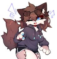 amount:solo body-type:anthro body-type:semi-anthro casual-outfit dolphin-shorts glasses hair hoodie nerdy species:cat style:kemono sweater // 1618x1695 // 206KB