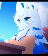 amount:solo artist:dev-voxy atmosphere:restaurant body-type:anthro casual-outfit drink long-hair species:fox style:kawaii style:kemono // 1769x2048 // 254KB