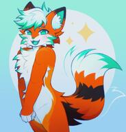 amount:solo body-type:anthro embarrassed nervous species:fox style:kemono visibly-shy // 1415x1480 // 200KB