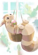 amount:solo atmosphere:garden atmosphere:sunlight body-type:feral pecha-berry species:furret style:kawaii style:over-exposure wallpaper-material wallpaper-material-(phone) // 1430x2048 // 155KB