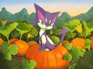 amount:solo atmosphere:farm atmosphere:field body-type:feral pumpkin species:purrloin style:lineless style:noisy // 2000x1499 // 763KB