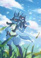amount:pair atmosphere:flowers atmosphere:windy hall-of-fame:bronze hall-of-fame:silver species:lucario species:riolu style:intentional-blur style:noisy // 1439x2048 // 399KB