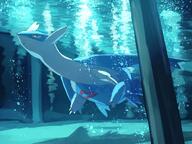 amount:solo atmosphere:undersea body-type:feral hall-of-fame:bronze species:latios style:dim style:painted // 1200x900 // 184KB