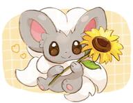 amount:solo body-type:semi-anthro flower hall-of-fame:bronze holding-object sem species:cinccino style:playful style:white-border // 1504x1157 // 207KB