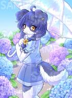 amount:solo atmosphere:flowers atmosphere:park atmosphere:rain body-type:anthro casual-outfit flower hair hall-of-fame:bronze hall-of-fame:silver long-hair species:dog style:girly style:kawaii style:kemono style:playful style:very-girly style:very-kawaii umbrella // 784x1066 // 154KB