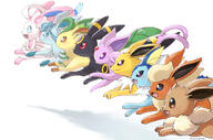 amount:multiple body-type:feral series:eeveelutions series:pokemon // 1312x868 // 769KB